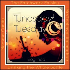 The Patchwork Paisley The Patchwork Paisley